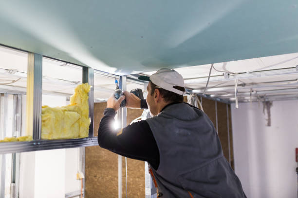 Trusted DE Insulation Contractor Experts