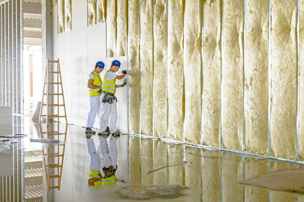 Best Insulation Installation Services in Hockessin, DE